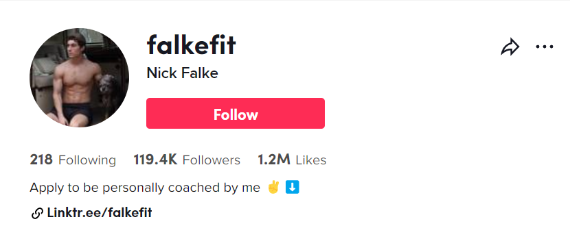 Nick Falke (@falkefit) TikTok