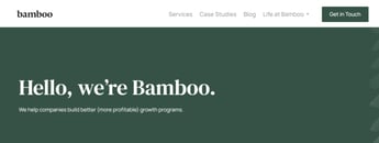 Bamboo