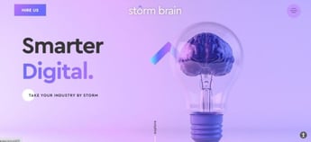 Storm Brain