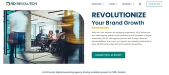 ROI Revolution