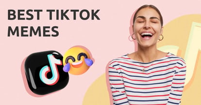 Preview for 29 of The Best TikTok Memes to Make Your Day