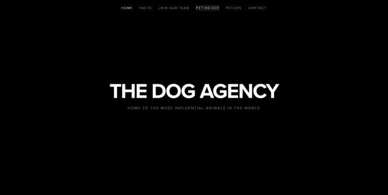 The Dog Agency