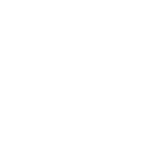 spinner