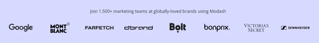 Modash marketing teams