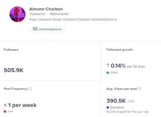 HypeAuditor influencer metrics analysis example