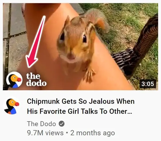 Brand Your Videos How YouTube Algorithm Works