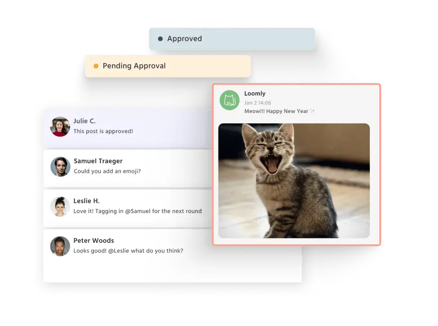 social media management tool loomly