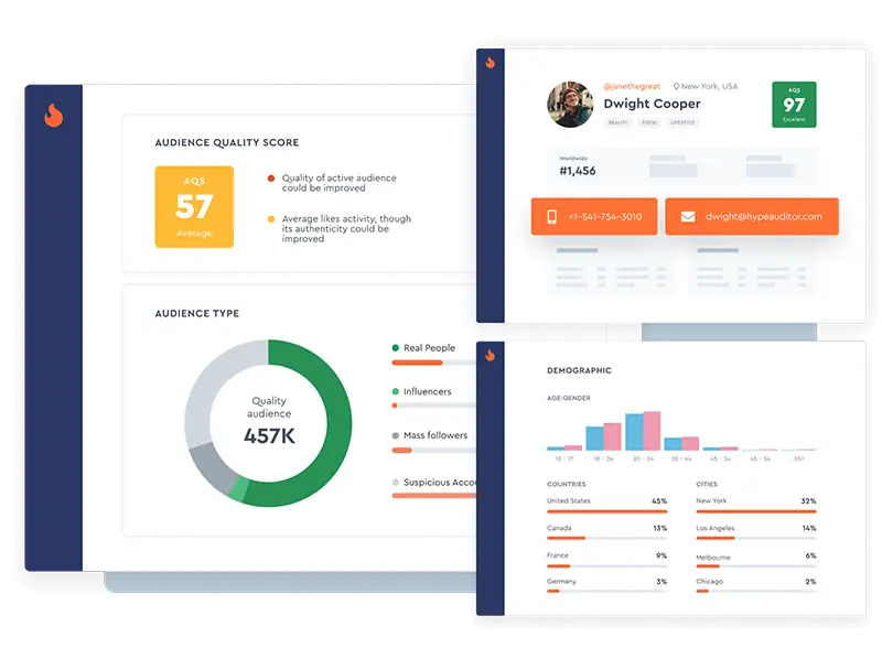 HypeAuditor analysis tool