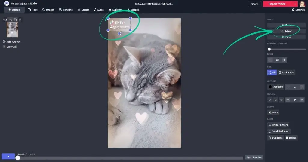  Adjust button