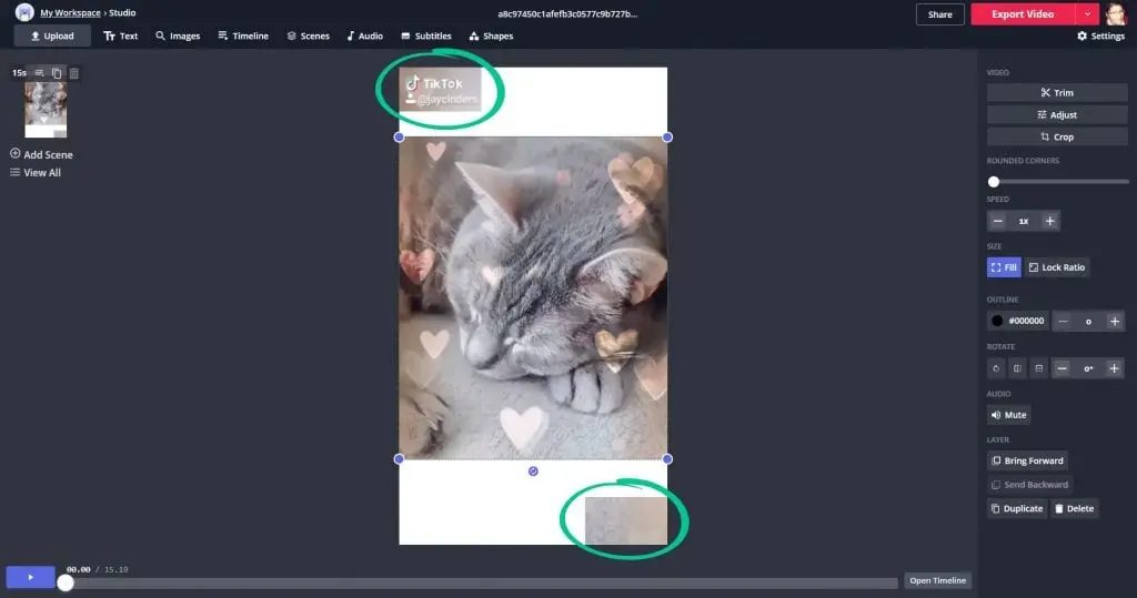 select only the TikTok watermark area