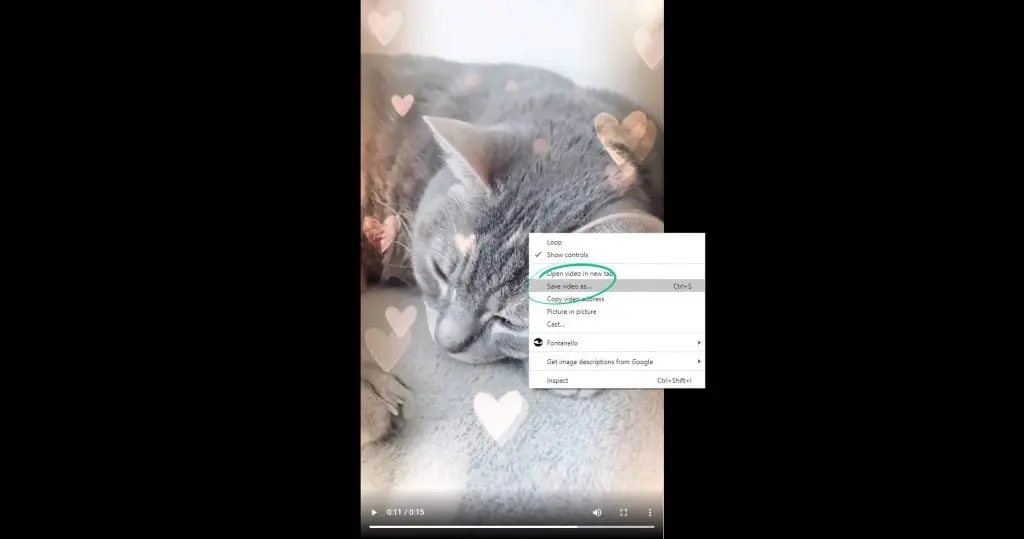 click Download MP4 Now