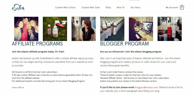 eSalon Custom Hair Colors