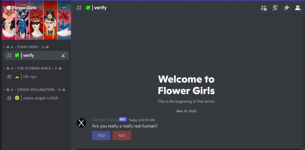 Flower Girls is Discord group