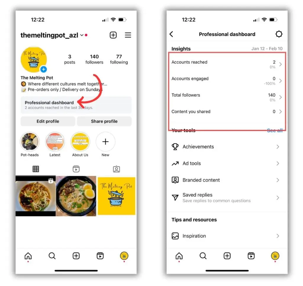 Instagram Professional dashboard