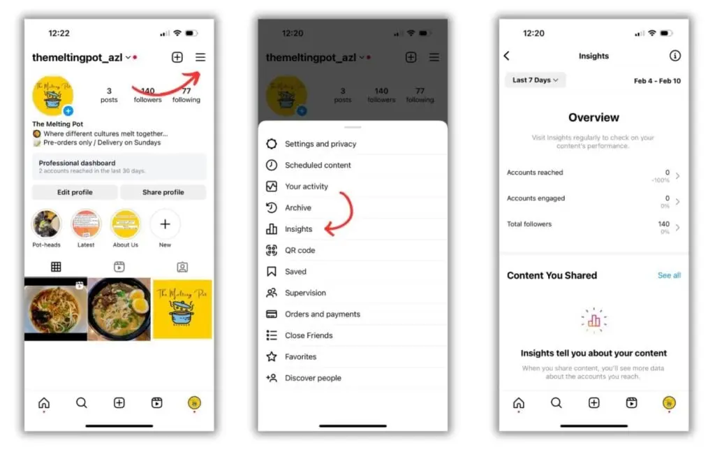 Instagram Insights Access