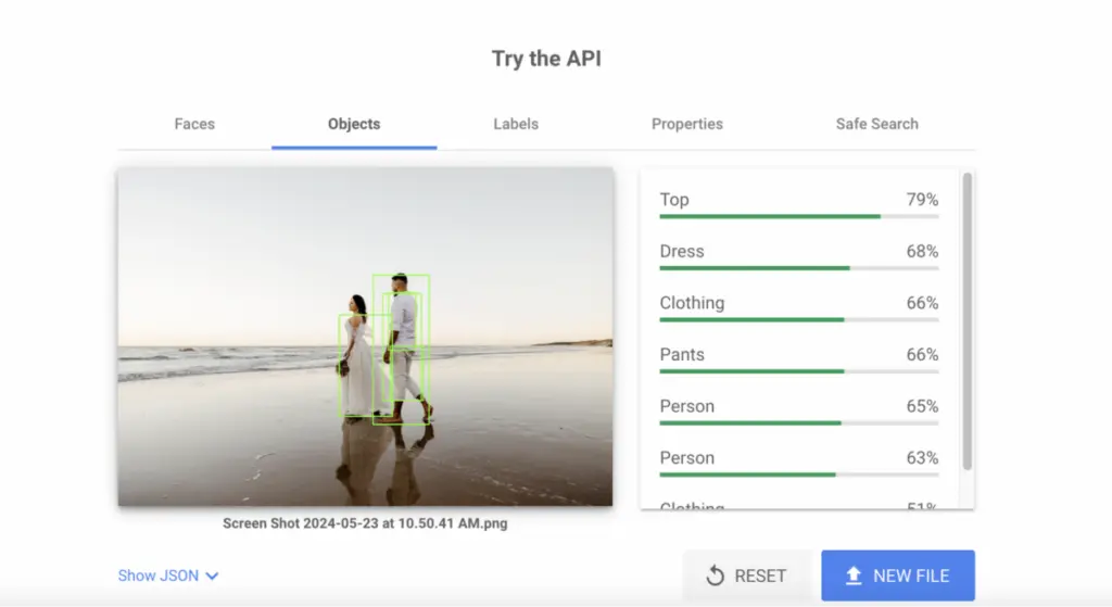 Google’s Cloud Vision API