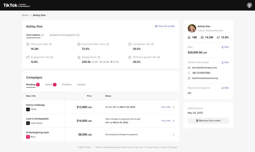 Talent Manager Portal TikTok