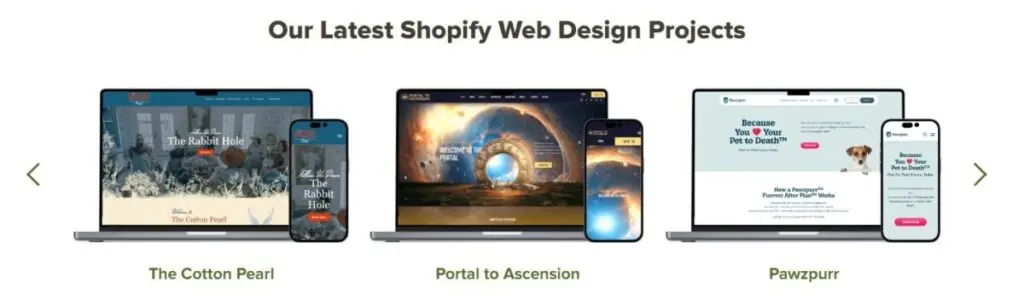 Shopify web design examples