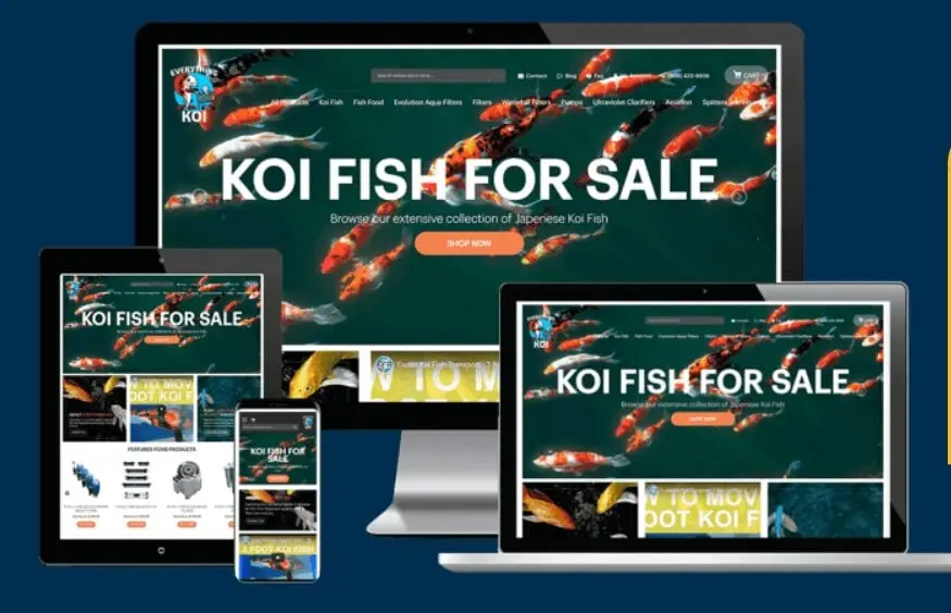 Everything Koi campaign