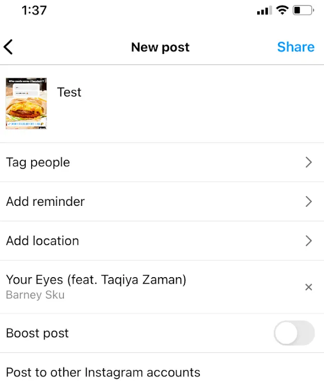 Publish Your Post - Adding Music to Instagram Posts