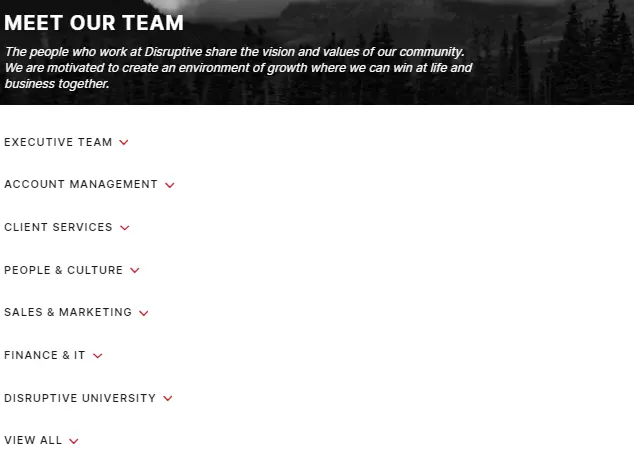 Disruptive Advertising team page