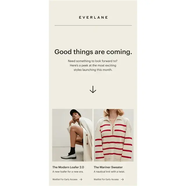 Everlane email newsletter example 