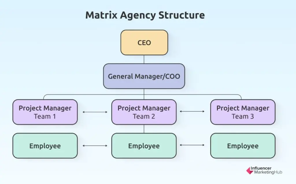 Matrix Agency Structure