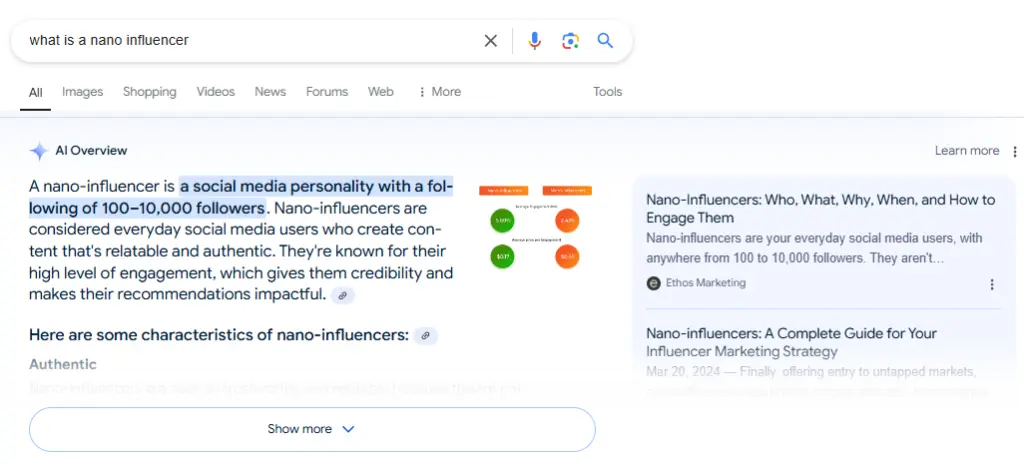 AI Overview 