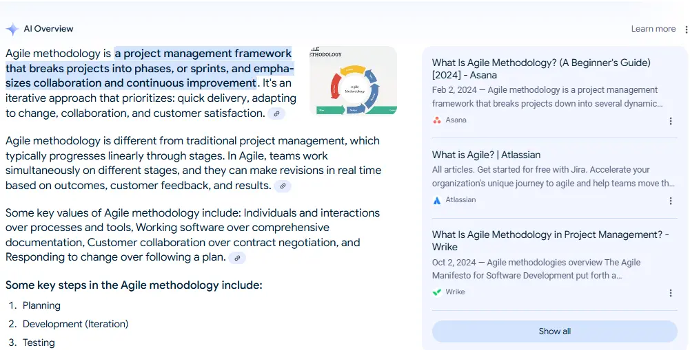 AI Overview 