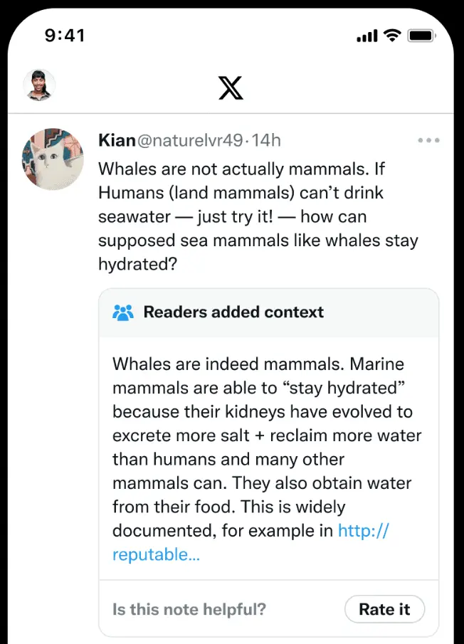 X Community Notes