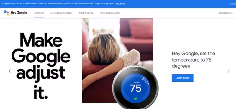 Google Assistant 