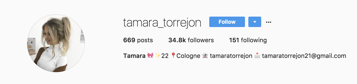 tamara_torrejon instagram profile - How Influencers can Connect With Brands on Instagram