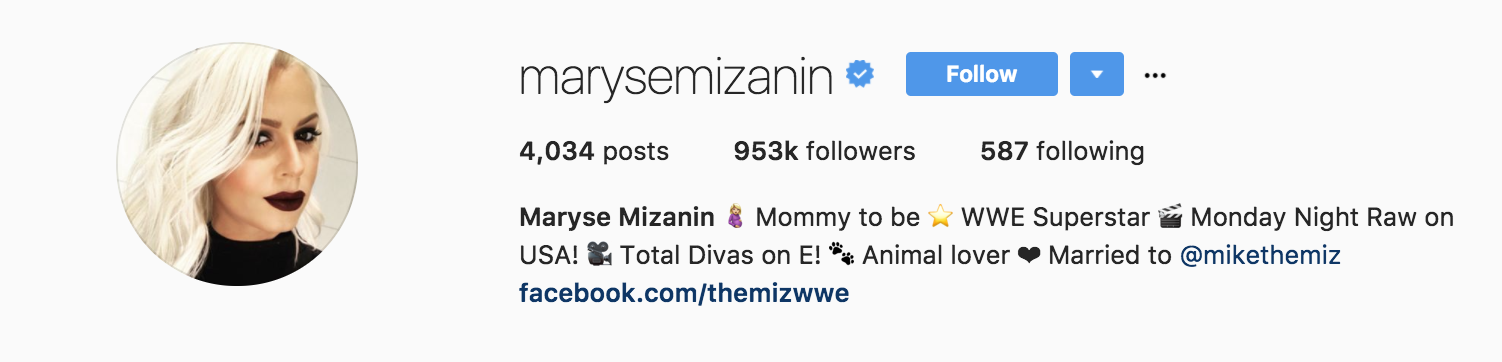 marysemizanin instagram profile - How Influencers can Connect With Brands on Instagram