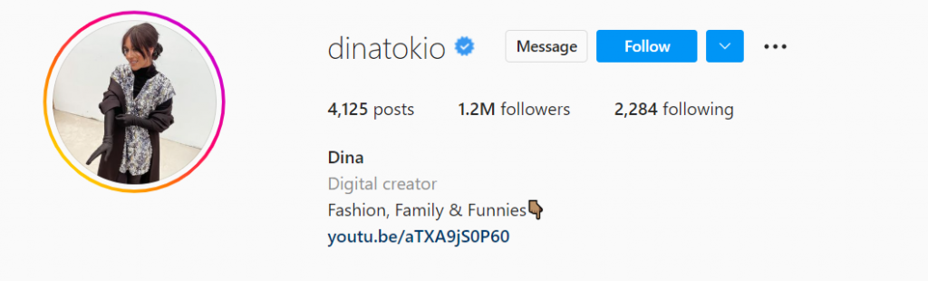 Dina Torkia on Instagram