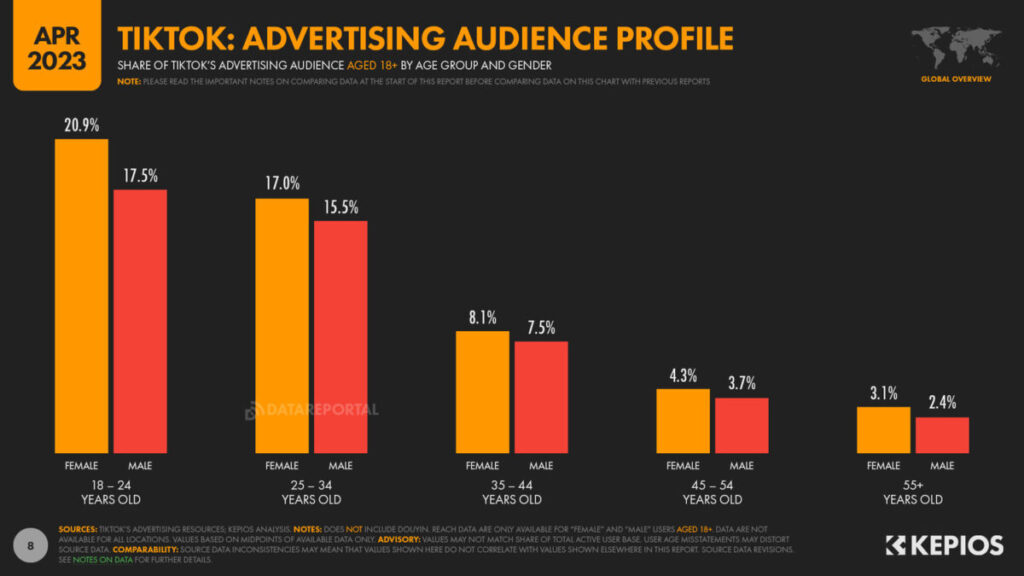 TikTok advertising audience profile