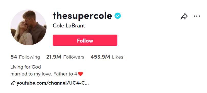 Top 22 Male TikTok Influencers