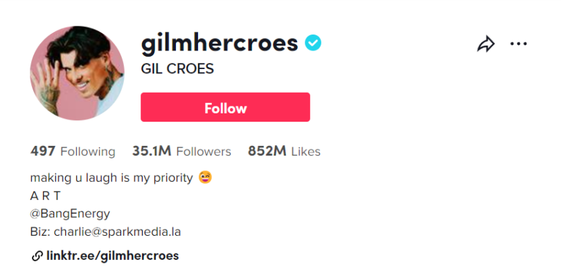 Top 22 Male TikTok Influencers