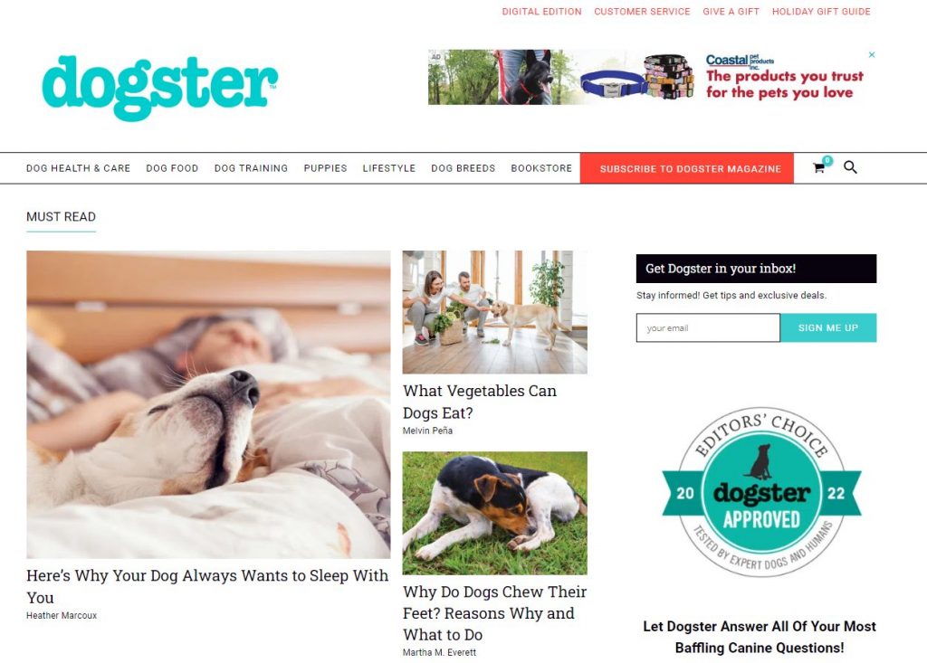 Dogster is a social network site that caters to dogs and dog owners