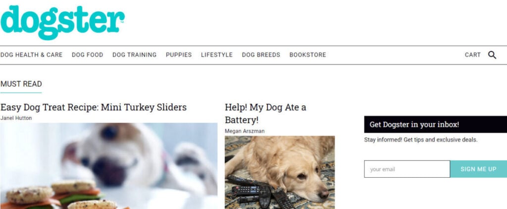 Dogster social network site