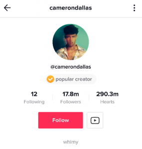 Top 23 Male TikTok Influencers