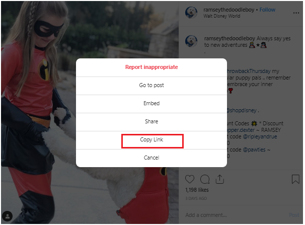 How To Repost On Instagram The Complete Guide To Instagram Reposting 