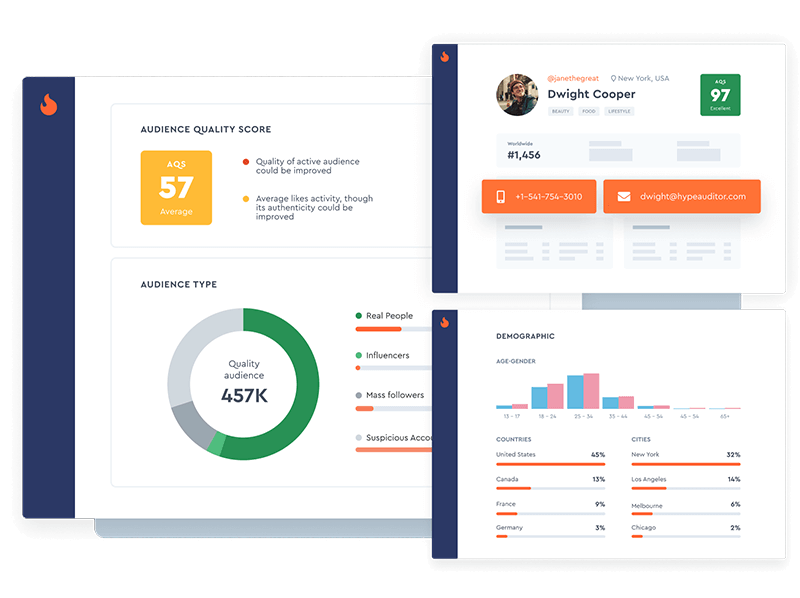 HypeAuditor analysis tool