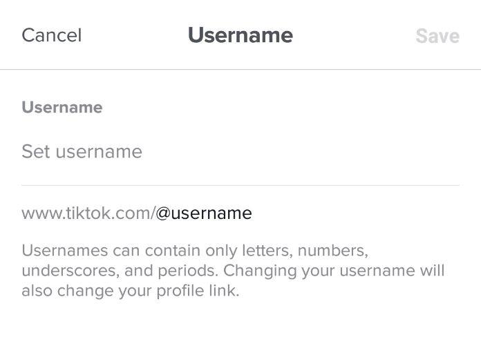 How To Change Your Username On Tiktok In 5 Easy Steps - how to change your username on roblox for free 2020