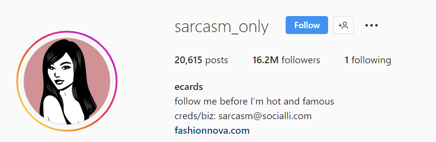 @sarcasm_only meme account