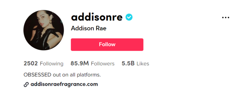 Top 20 Female Tiktok Influencers to Follow in 2022