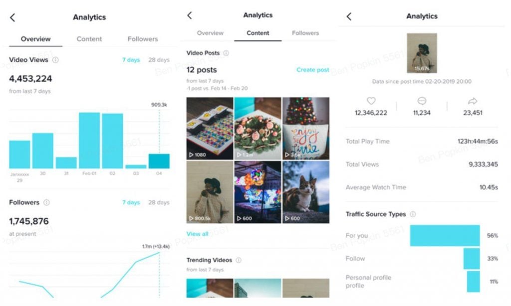 TikTok Analytics platform in-app analytics