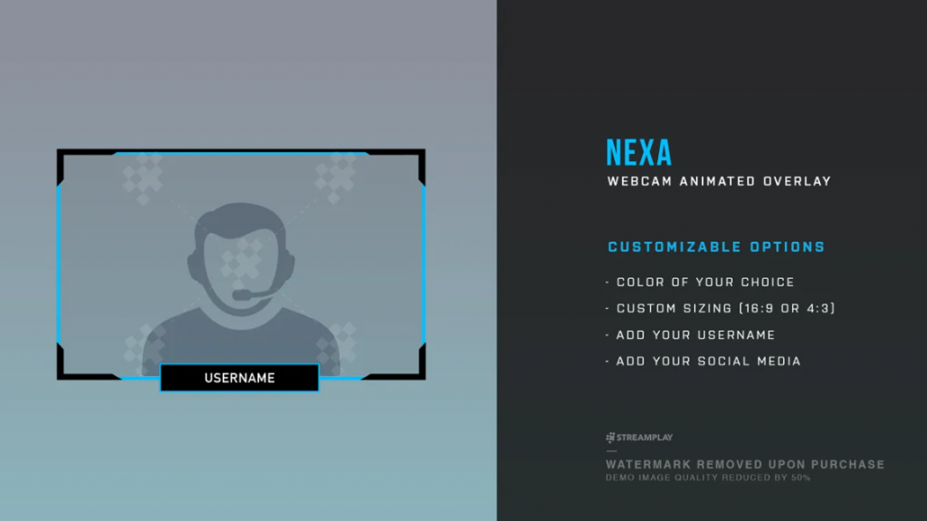 NEXA WebCam-Overlay