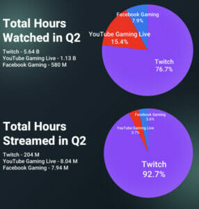 Total hours watched and streamed stats