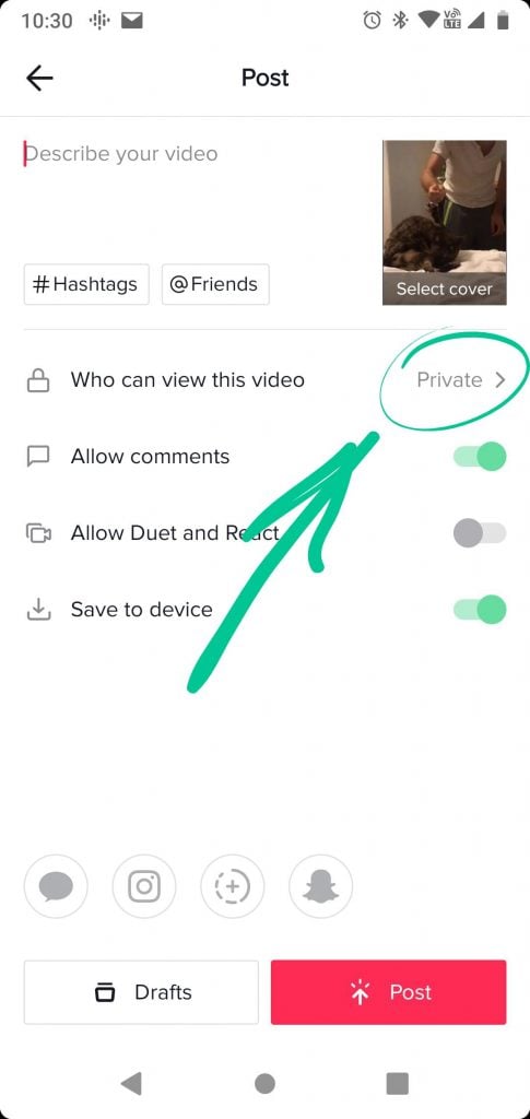 privacy settings of particular video