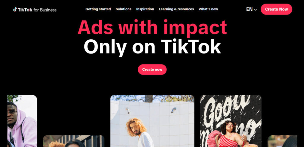 TikTok for Business Audit